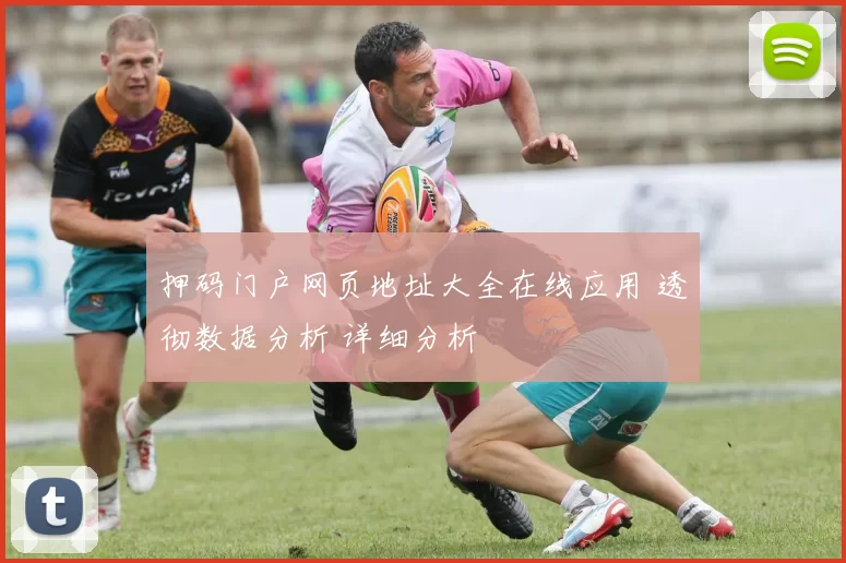 押码门户网页地址大全在线应用 透彻数据分析 详细分析