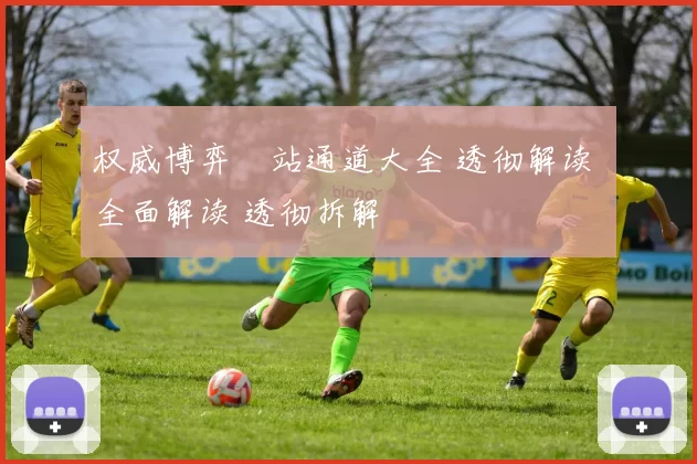 权威博弈網站通道大全 透彻解读 全面解读 透彻拆解